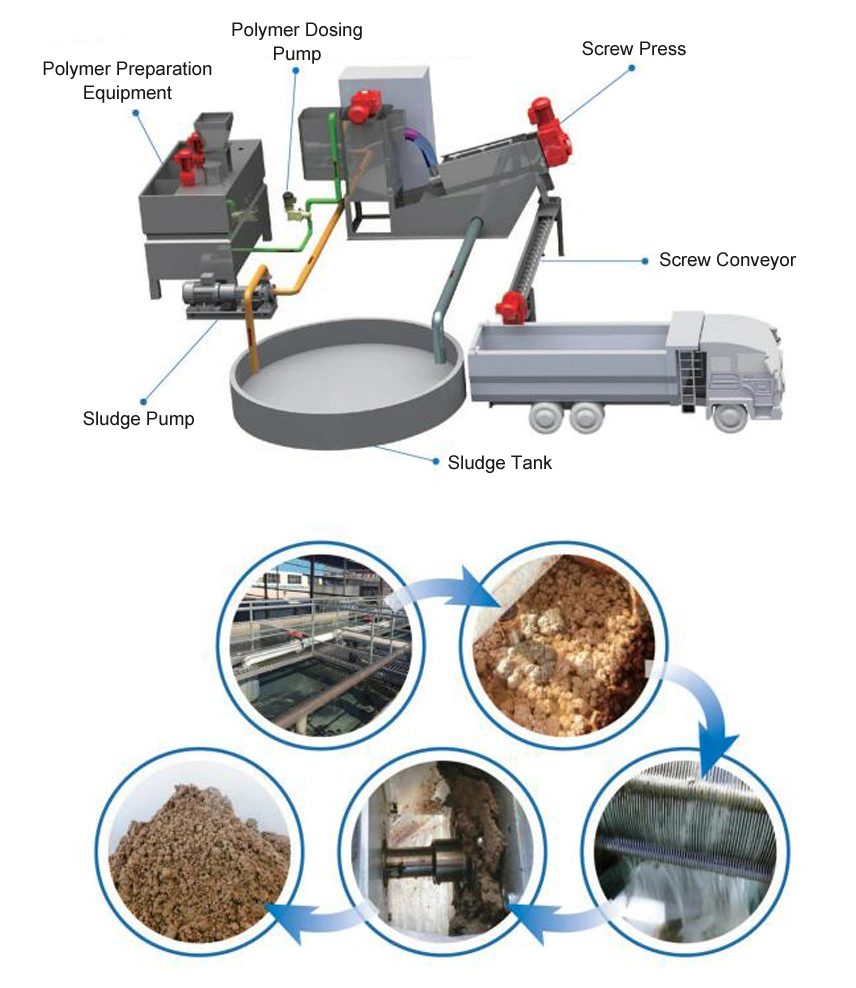 Polymer Dosing Machine for Daf in Sewage Treatment