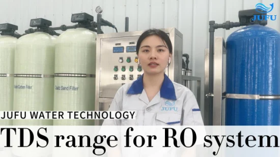 Swro Plant Seawater Filtration System Wellwater Desalination Equipment with RO System