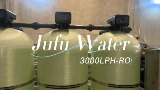 3000lph Brackish Water Treatment Plant RO Desalination System Seawater Desalination Equipment